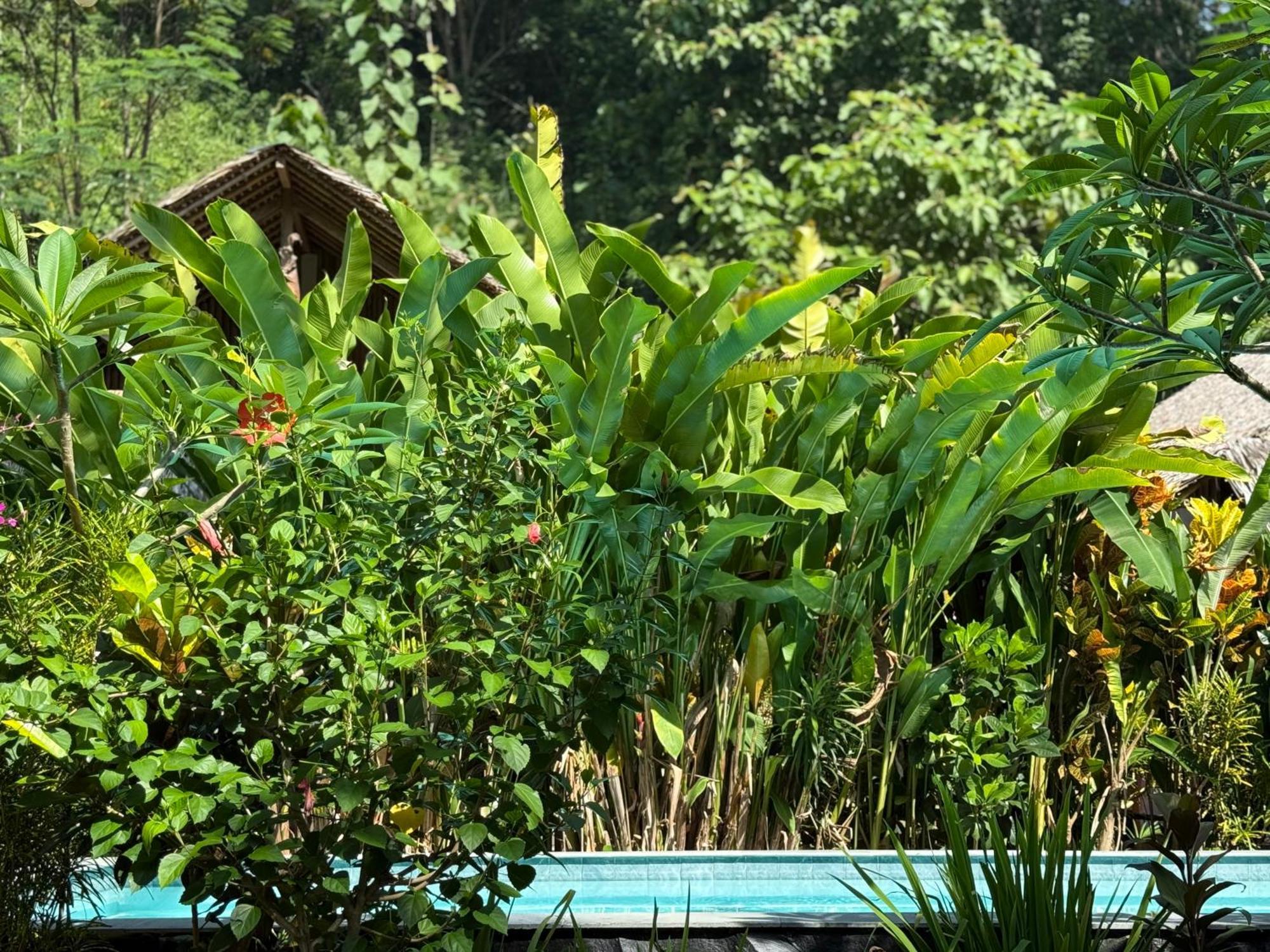 Rnv Eco Resort Bungalows Batukaras Exterior photo